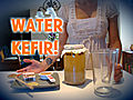 Probiotic Water Kefir Secrets Revealed!