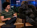 Kevin James Gorilla