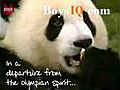 funny video-panda party boysiq com funny prank teen movie