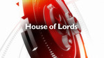 House of Lords: Localism Bill