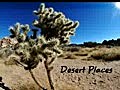 Joshua Tree,  National Park, California