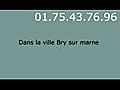 chauffagiste Bry sur marne - 01.75.43.76.96