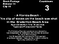 A Florida Beach (2007)