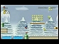 Nintendo New SUPER MARIO BROS:Wii