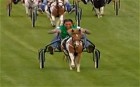 Werder Bremen players race miniature ponies