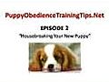 Puppy Obedience Training - Housebreaking Your New Puppy