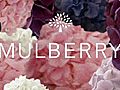 Mulberry SS11 Flower Film