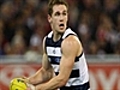 Selwood spurs Cats for his 100th game