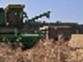 Russia drought may hit grain exports