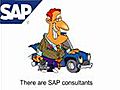 My video cv of mr. lutz de witt an expert business sap consultant