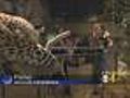 Fans Enjoy 'Night Out' With The CBS4 Morning News