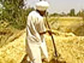 Global warming to affect Indian farming