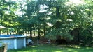 Caught on Cam: Bear Sighting in NJ