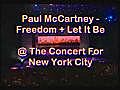 Paul McCartney Performance -Ticketexchanger.com