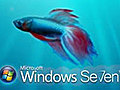 Hands on Guide to Windows 7: Lesson 2