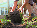 Removing Sod