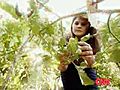 Gardener Helping Feed The Hungry