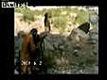 2/2 Afghan Mujahidin ambushing an American patrol in Paktia