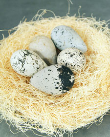 Amazing Birds&#039; Nests and Eggs