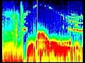 Ganymede Plasma Wave