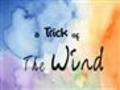 A Trick of the Wind - Vancouver FIlm School (VFS)