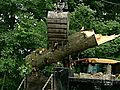 Crews Work To Remove Fallen Trees