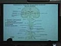 Lecture 2 - Behavioral Neuroscience II,  Neuroscience Lab