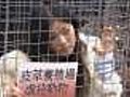 Protesters caged in China fur demo