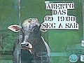 Raw Video: Runaway Bull Stuck in a Boutique