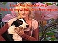 Dog boarder utah,pet sitting services,Salt Lake City Dog Sitter,  Cageless Dog