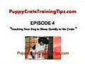 Puppy Crate Training - Teach Your Dog to Sleep Quietly in his Crate