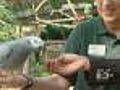 Elmwood Park Zoo Reaches Out For Money