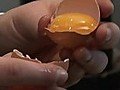 How To Split An Egg