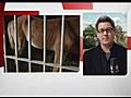 Horse abuse charges