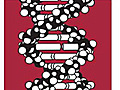 iPlant Genotype to Phenotype - Video on demand