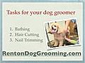 renton dog grooming: 3 tips