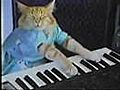 Charlie Schmidt  Keyboard Cat! - THE ORIGINAL!