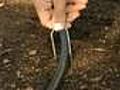 How To Install Drip Irrigation With Emitter Tubing