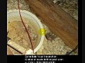 Jacksonville Home Inspection