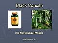 Menopausal Miracle - Black Cohosh