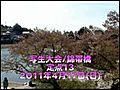 写生大会・錦帯橋_20110417_13