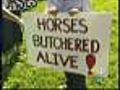 Actimal Activists Protest At Horse Slaughter Trial