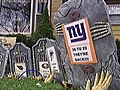 South Side Fans Gobble Up All Things Bears