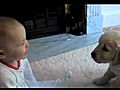 Baby and Puppy meet for the first time!