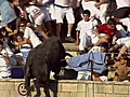 Dozens injured as bull goes on rampage