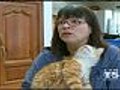 Oakland Cat Lover Wins IRS Fight