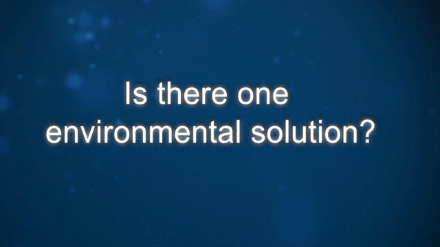 Curiosity: Jeff Koseff: One Environmental Solution?