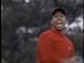 Tiger Woods In Accident,  Released From Hospital