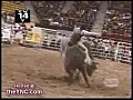 spanish bull fight