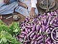 Planet 100: No To Bioengineered Eggplant (2/10)